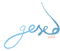 Logo de Gesed ASBL